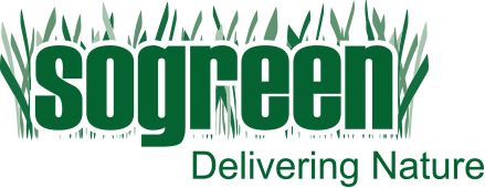 Meeting and exceeding customer expectations is how SOGREEN